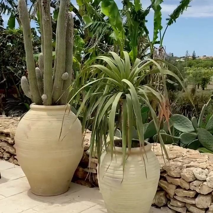 STAY IN SICILY - Baglio Siciliamo Country House