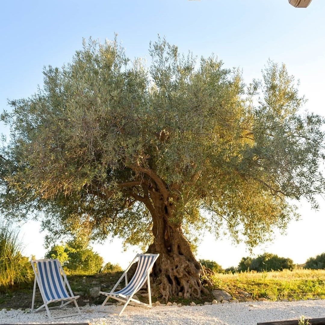 STAY IN SICILY - B&B Luccicamare